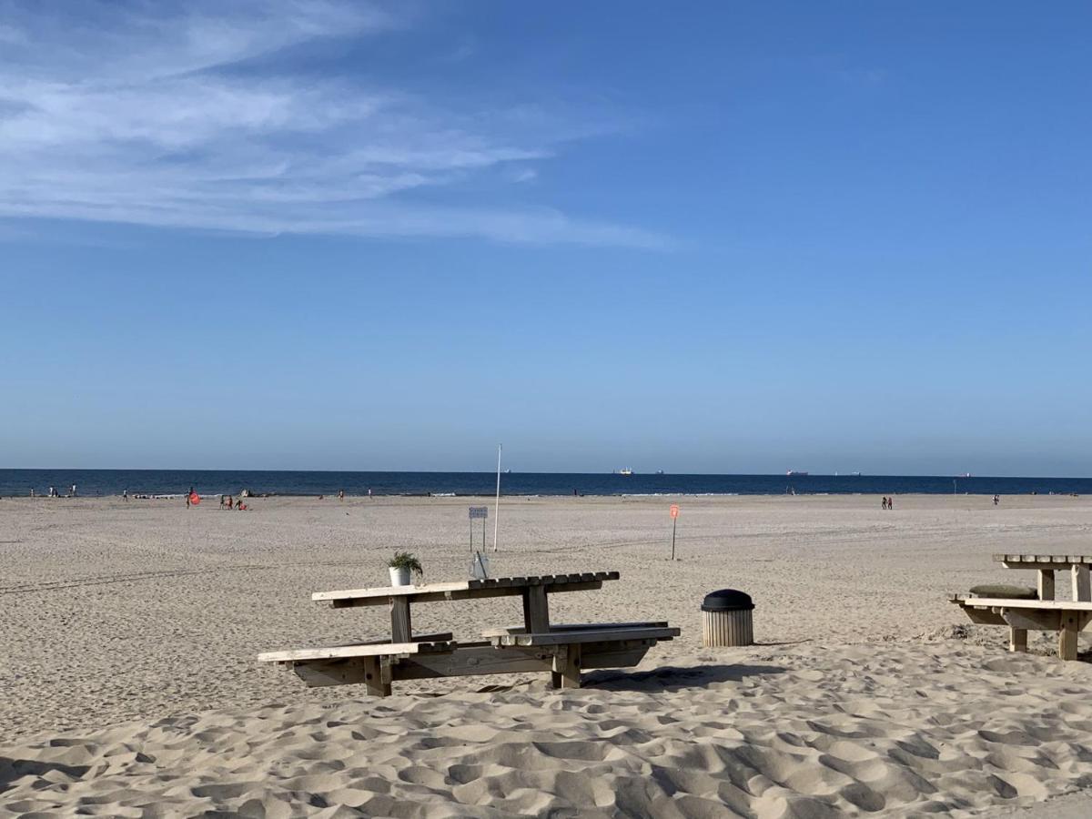 Duindoorn 45 * IJmuiden